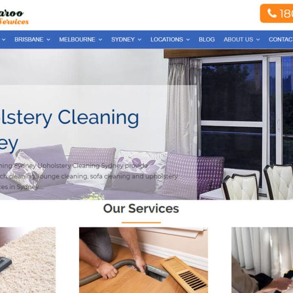 Kangaroo-cleaning-services